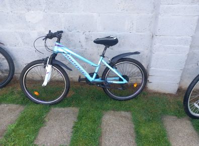 bikes