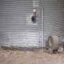 Grain storage/rolling setup for sale Image 3