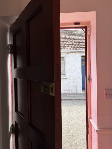 Solid wood front door