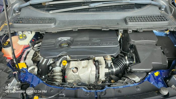 Ford Kuga  ( swap )