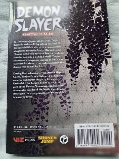 demon slayer vols 1-9