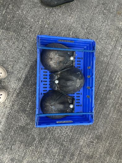 Cast Iron Livestock Drinking Bowl (x3)