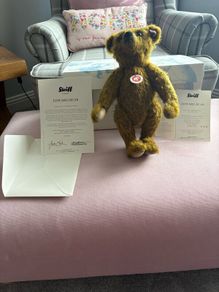 Collectable Teddy
