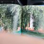 The Illustrated Olive Farm.by Carol Drinkwater. First Edition Hardback With Dustjacket In Good Condition. 38 Image 10