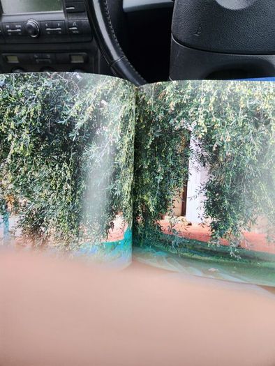 The Illustrated Olive Farm.by Carol Drinkwater. First Edition Hardback With Dustjacket In Good Condition. 38