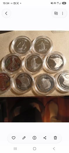 Falkland islands Proof 50p