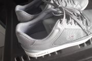 lacoste trainers
