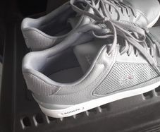 lacoste trainers