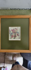 FRAMED DETAIL IRIS RAINBOW FANTASY penceled and coloered signed by artist .