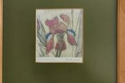 FRAMED DETAIL IRIS RAINBOW FANTASY penceled and coloered signed by artist .