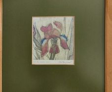 FRAMED DETAIL IRIS RAINBOW FANTASY penceled and coloered signed by artist .