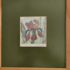 FRAMED DETAIL IRIS RAINBOW FANTASY penceled and coloered signed by artist .