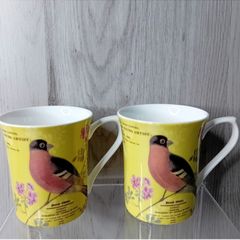 Queens Royal Horticultural Society George Brookshaw Six Bullfinch Mug Set New !