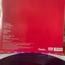 Brant Bjork & the Bros - Somera Sol (Kyuss) Image 6