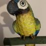 Handmade bird parrot Image 5