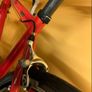 Kinda Zing Supreme Carbon Bike Image 5