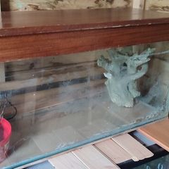 Glass and teak fish tank
