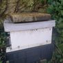 Beehive with bees in Kilkenny Image 2