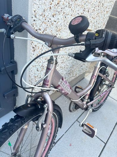 Girls Raleigh Bike