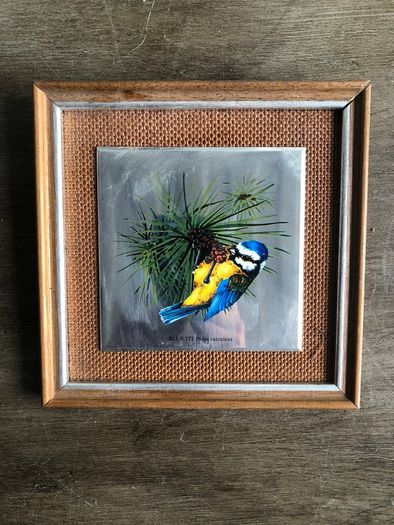 Set of 5 Vintage Wooden Framed Bird Pictures