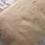 cushion Image 6