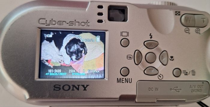 Sony Cyber-shot DSC-P73