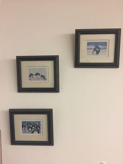 Penguin pictures