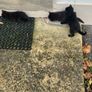 Kittens Image 2