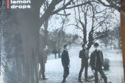 The Mighty Lemon Drops Vinyl
