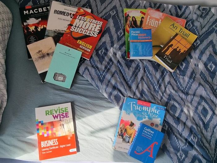 Leaving Cert schoolbooks