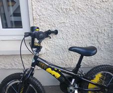 Bike Boys batman bike
