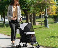 Foldable Dog Stroller, Lightweight Dog Pram w/ Shoulder Strap, Storage Bag, Cup Holder, Light Grey