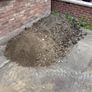Free Top Soil Image 2