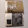 The Pictorial Encyclopedia of Birds edited by Bruce Campbell Image 4