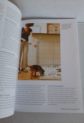 The perfect puppy book
