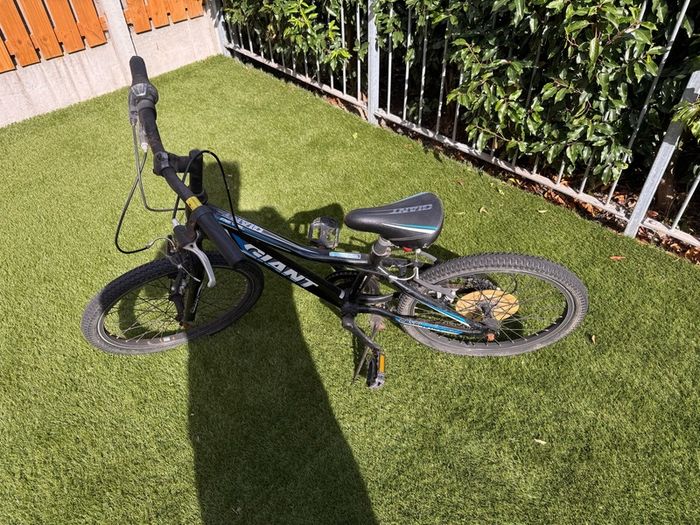 Kids bike Giant Revel Jr 20 inch aluminium frame