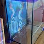 fish tank Image 3