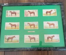 Players Cards,famous Irish bred horses