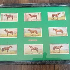 Players Cards,famous Irish bred horses