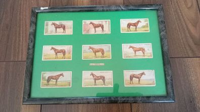Players Cards,famous Irish bred horses