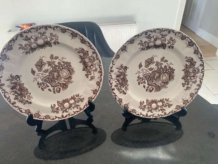 Pair of 9 inch fruit basket plates by masons