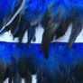Feathers and craft set Image 2