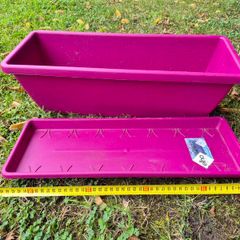 Plant Planter Box and Tray