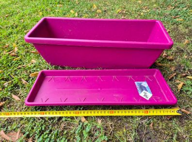 Plant Planter Box and Tray