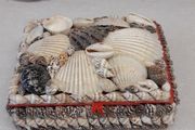 Trinket box shell design
