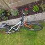 Childrens Bicycle Image 5