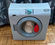 Kids washing machine