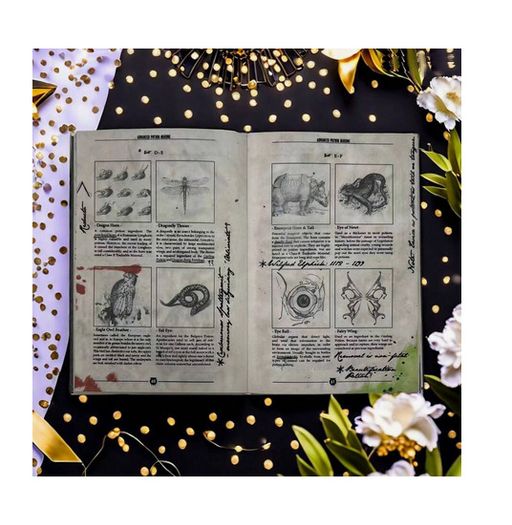 Secret Magic Book