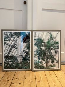 Framed Prints
