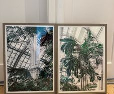 Framed Prints